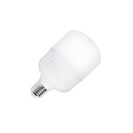 LED sijalica 35W 5000K E27 T120