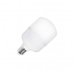 LED sijalica 35W 5000K E27 T120