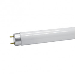 Fluo cev T8/18W lampe za insekte
