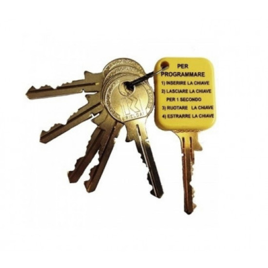 Ključevi -  set 5 ključeva i 1 zlatni-kodni ključ 099905C