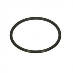 GUMICA DIHTUNG O-RING 2118 VITON BIANCHI 36363116