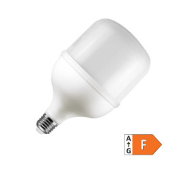 LED sijalica 30W 6400K E27 T100