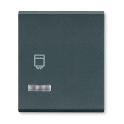 MODE Taster dvostruki 2M oznakom bojlera i indikacijom Antracit