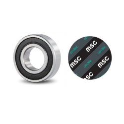 LEŽAJ 6004 2RS MSC CODEX